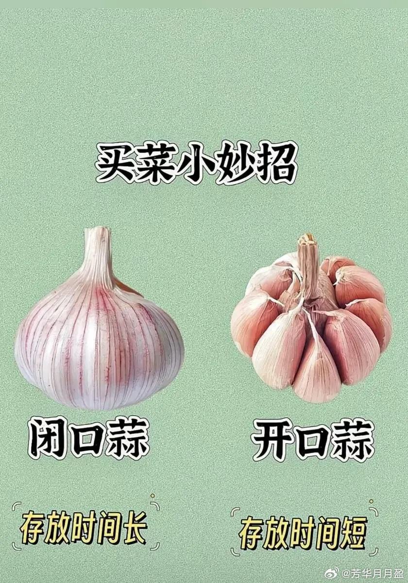 葱蒜小妙招，厨房智慧与料理乐趣的探索